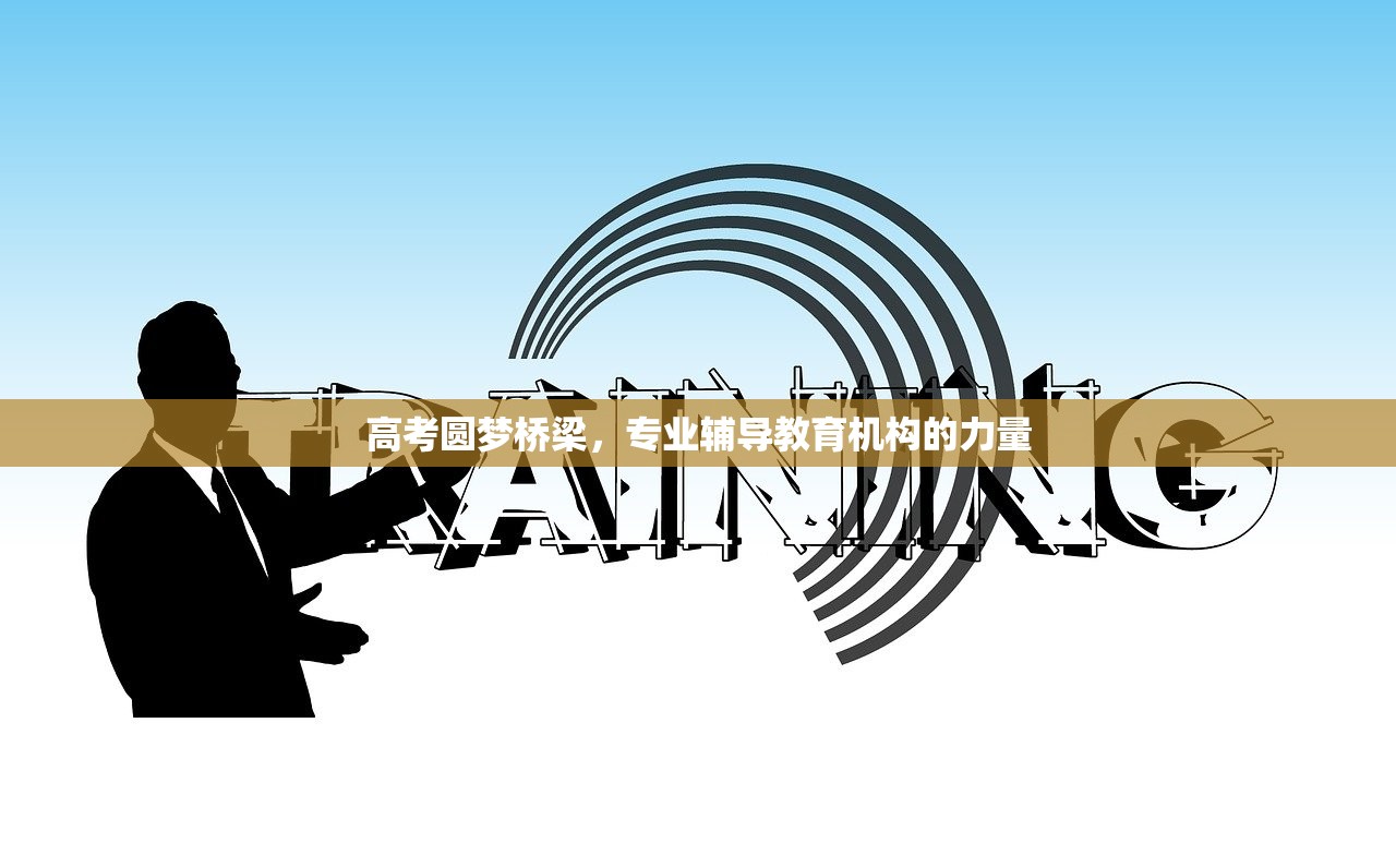 高考圆梦桥梁，专业辅导教育机构的力量