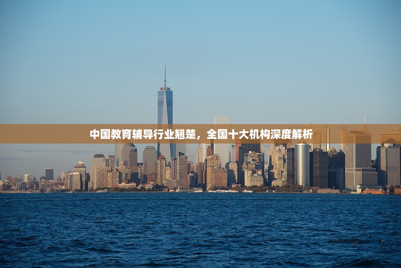 中国教育辅导行业翘楚，全国十大机构深度解析