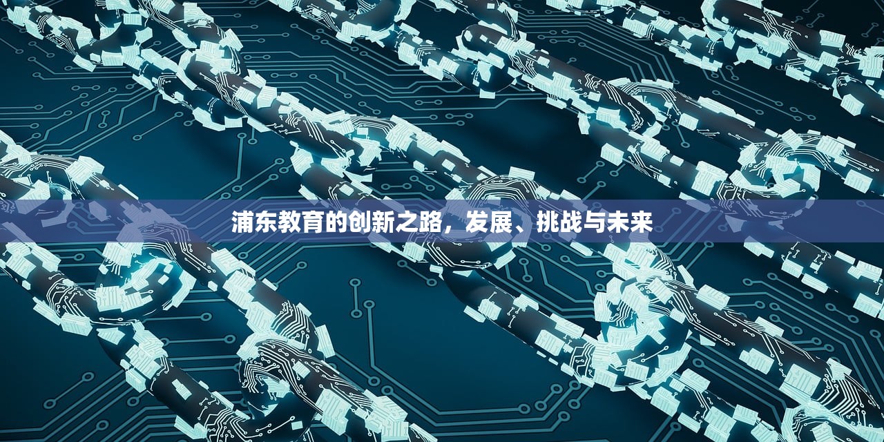 浦东教育的创新之路，发展、挑战与未来