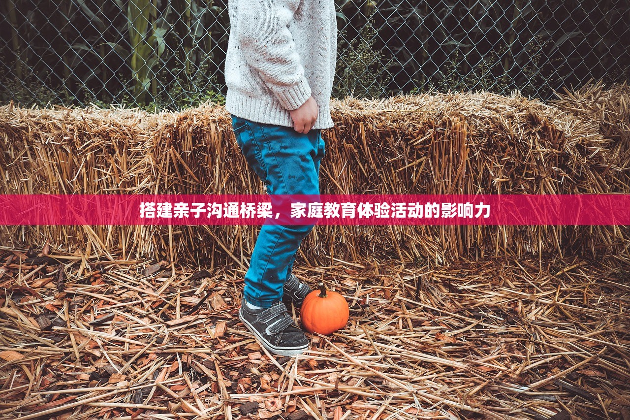 搭建亲子沟通桥梁，家庭教育体验活动的影响力
