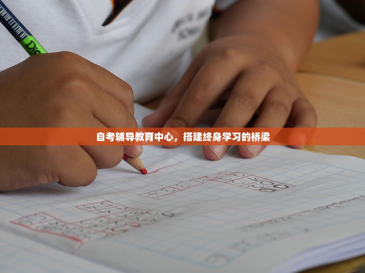 川大教育学研究生，追求知识之光的学术探索之旅