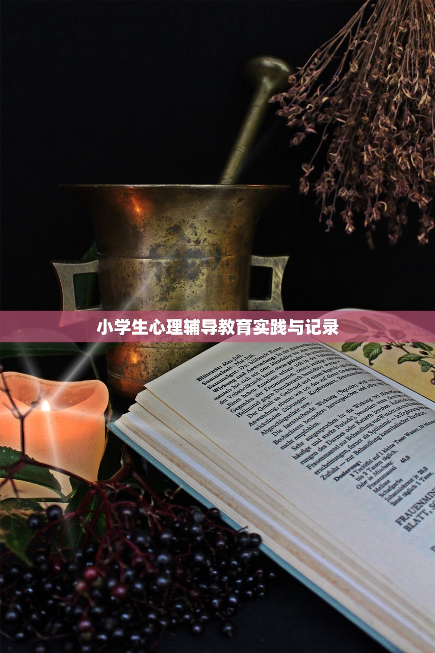 小学生心理辅导教育实践与记录