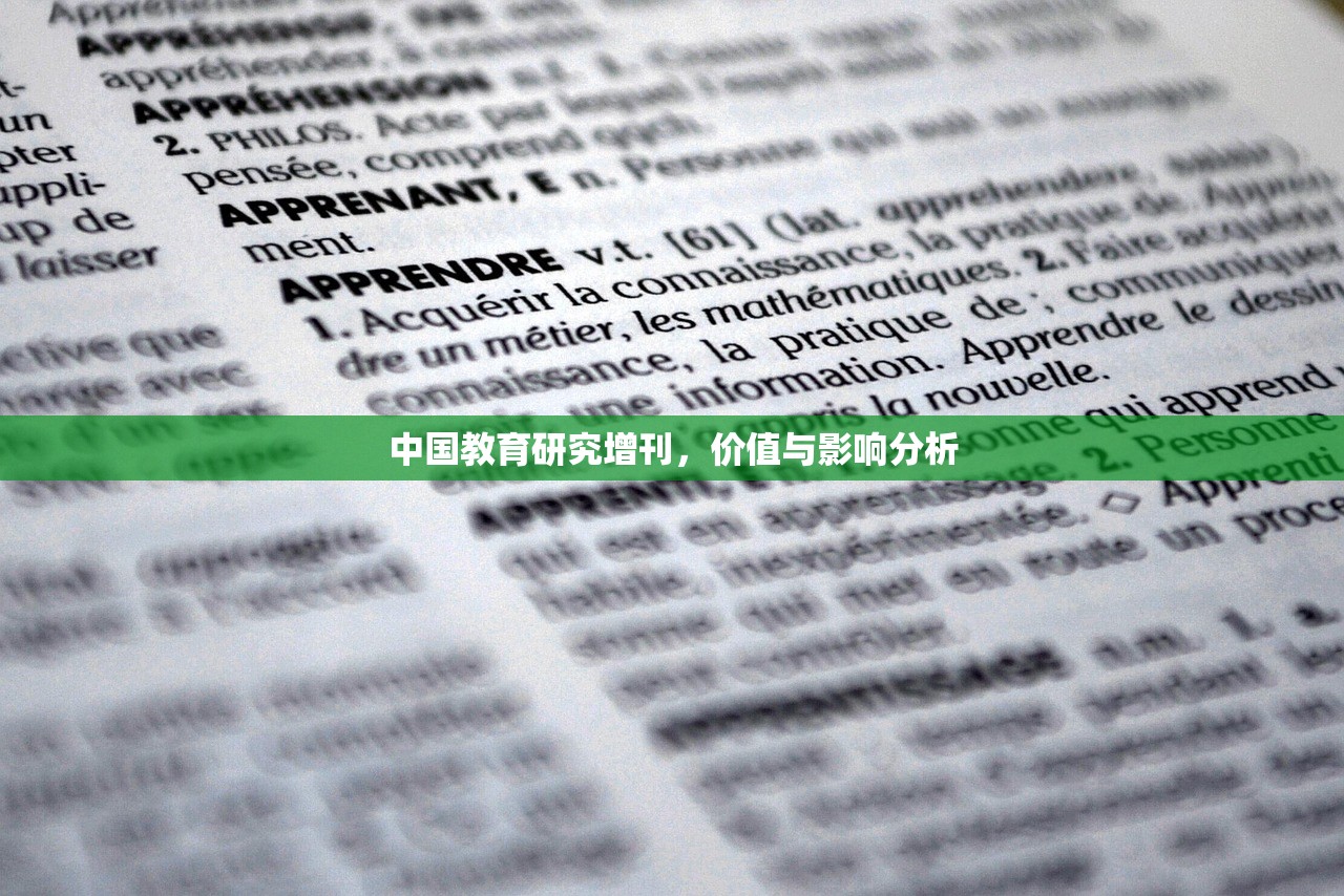 中国教育研究增刊，价值与影响分析