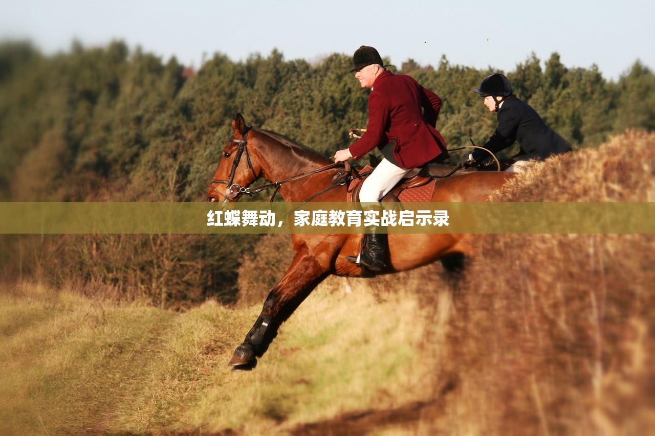 红蝶舞动，家庭教育实战启示录