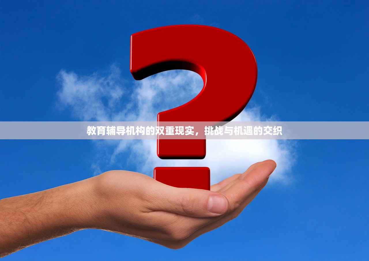 教育辅导机构的双重现实，挑战与机遇的交织