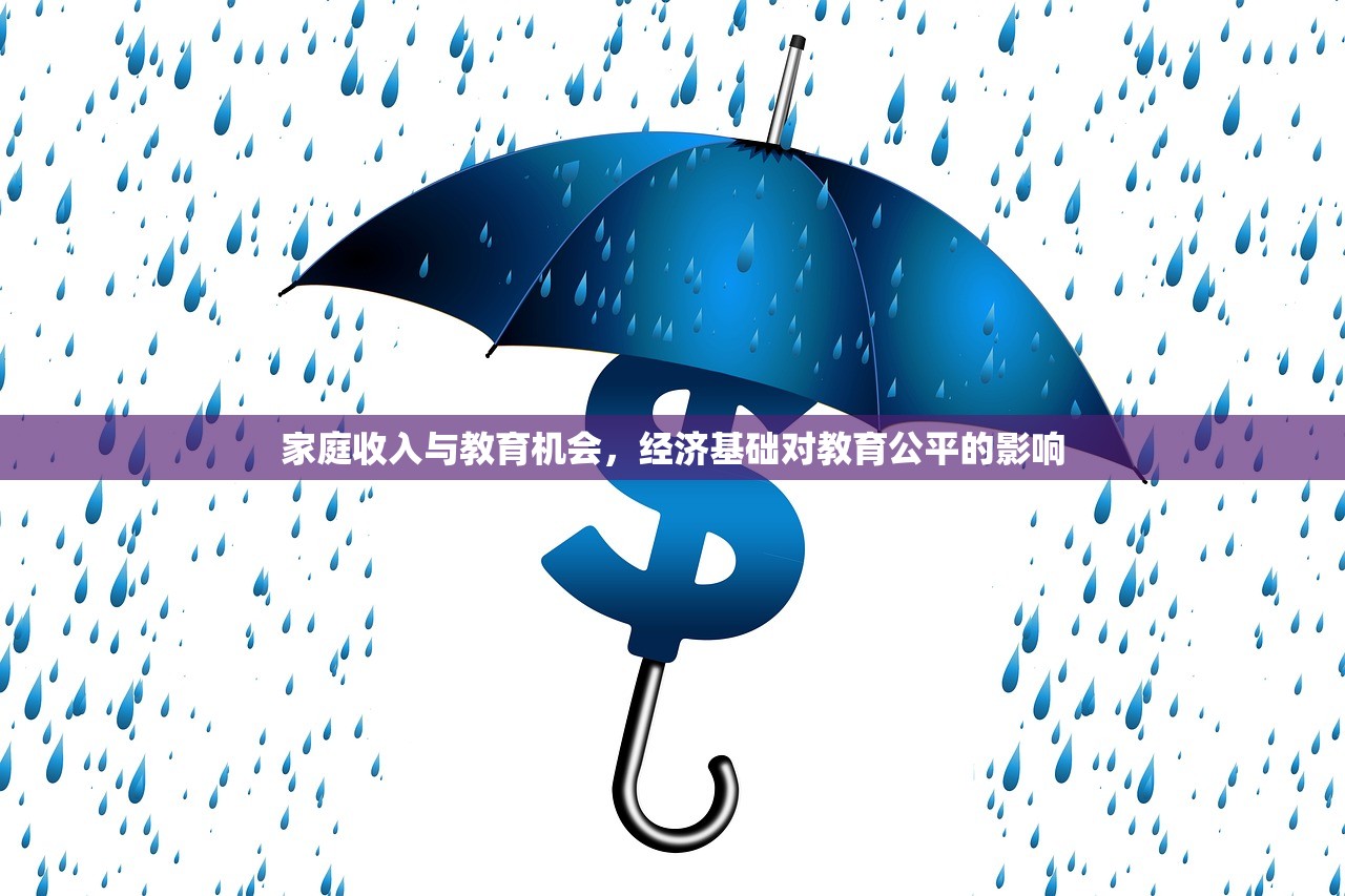 家庭收入与教育机会，经济基础对教育公平的影响