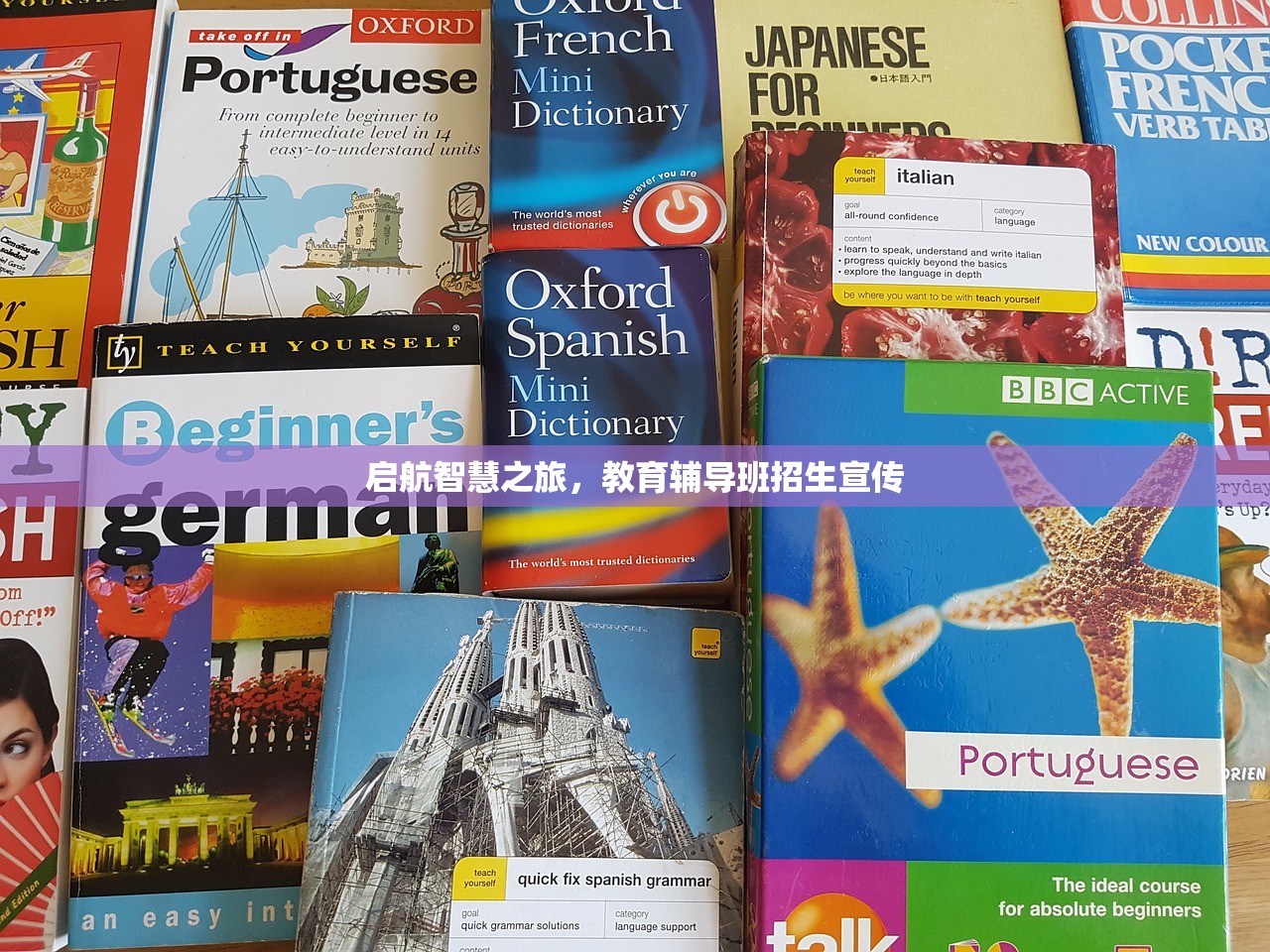 启航智慧之旅，教育辅导班招生宣传