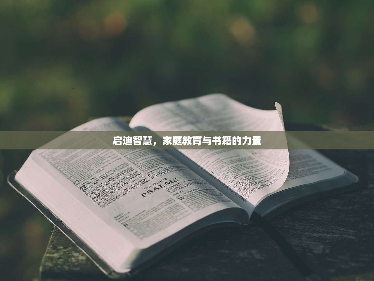 启迪智慧，家庭教育与书籍的力量