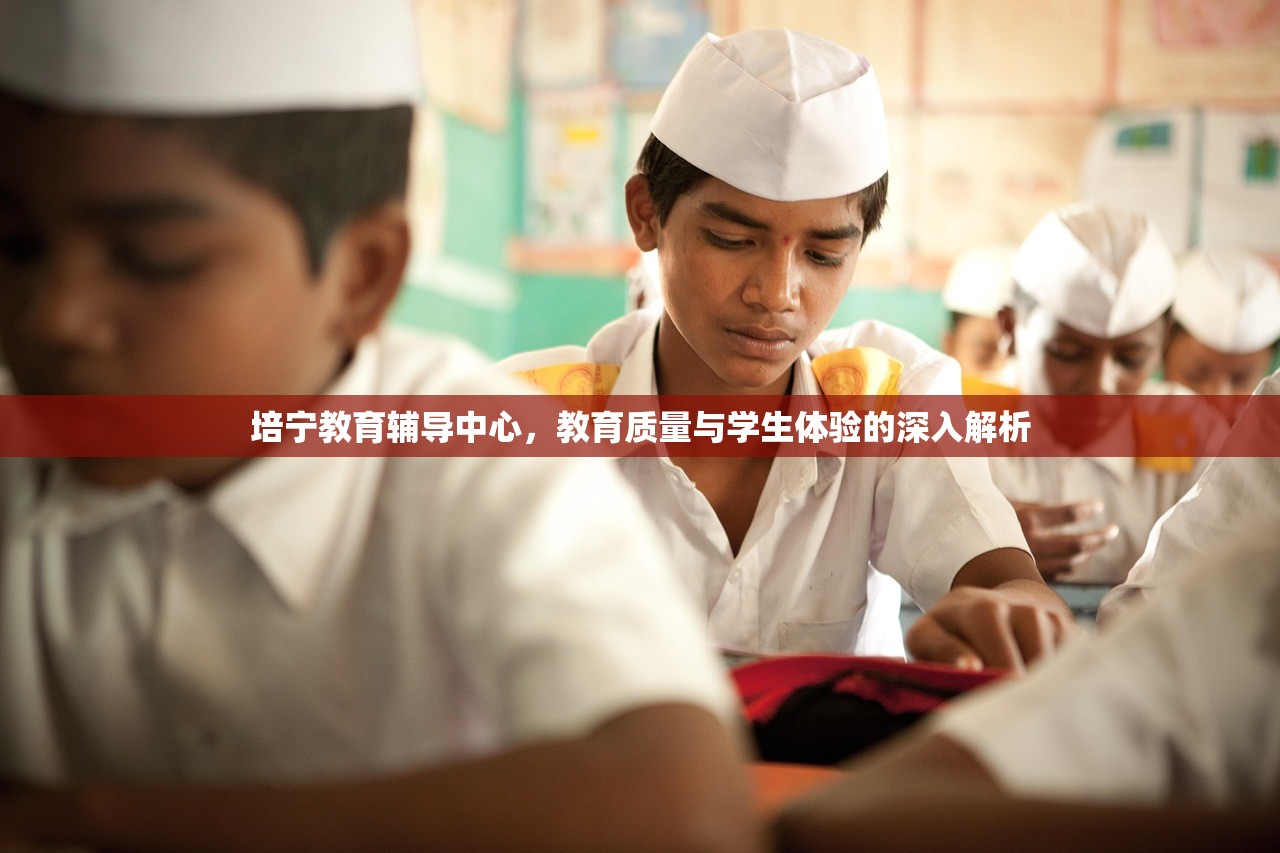 培宁教育辅导中心，教育质量与学生体验的深入解析