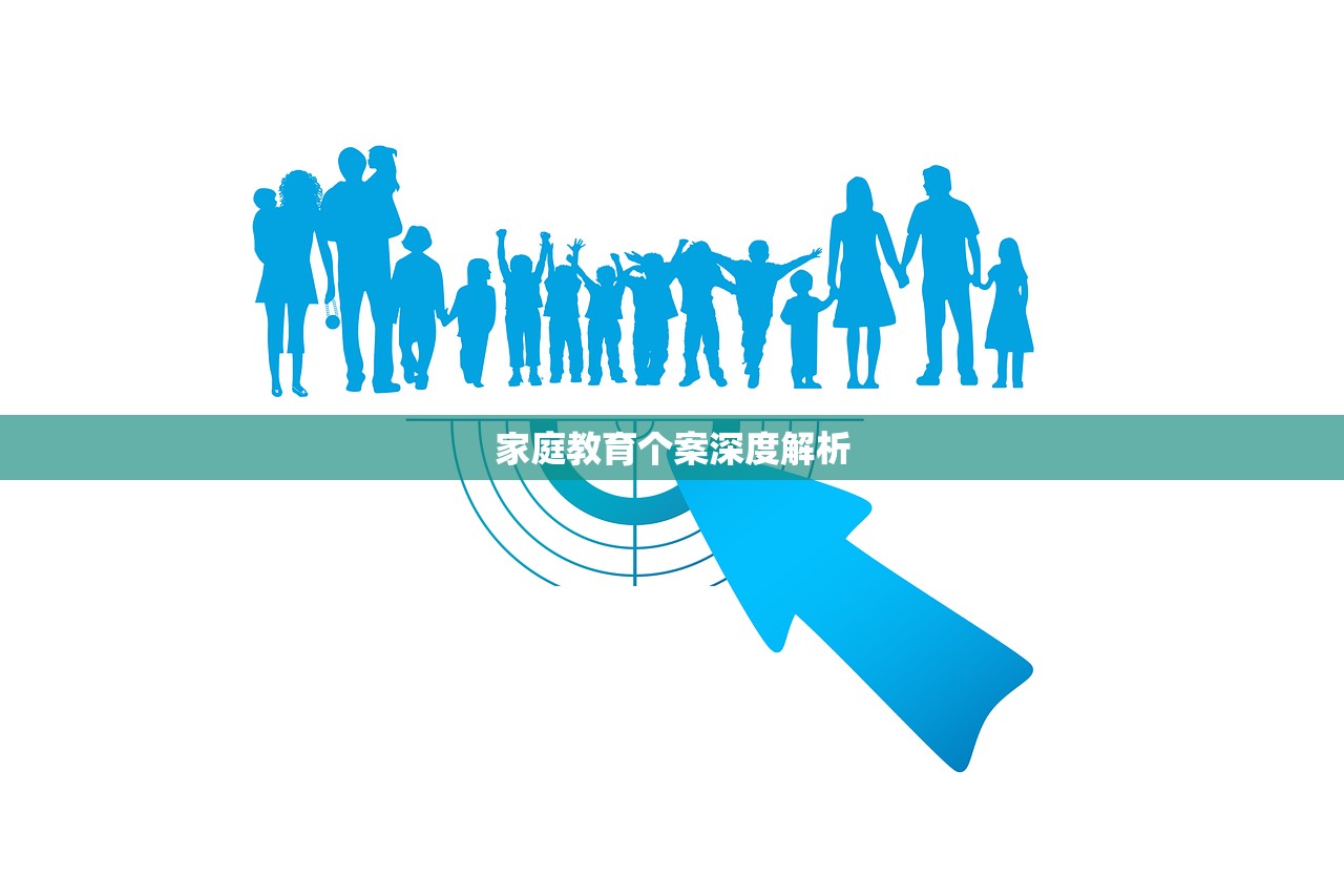 家庭教育个案深度解析
