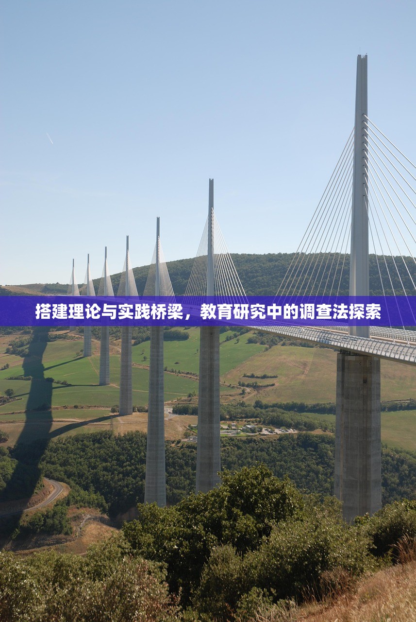 搭建理论与实践桥梁，教育研究中的调查法探索