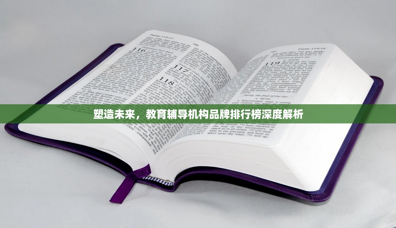 塑造未来，教育辅导机构品牌排行榜深度解析