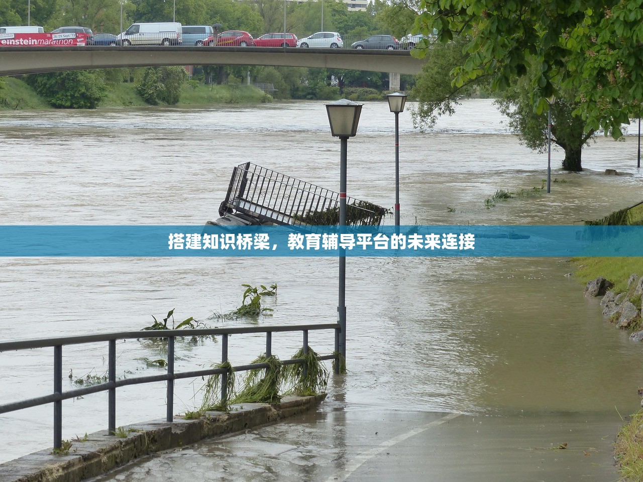 搭建知识桥梁，教育辅导平台的未来连接
