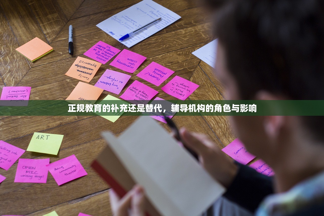 正规教育的补充还是替代，辅导机构的角色与影响