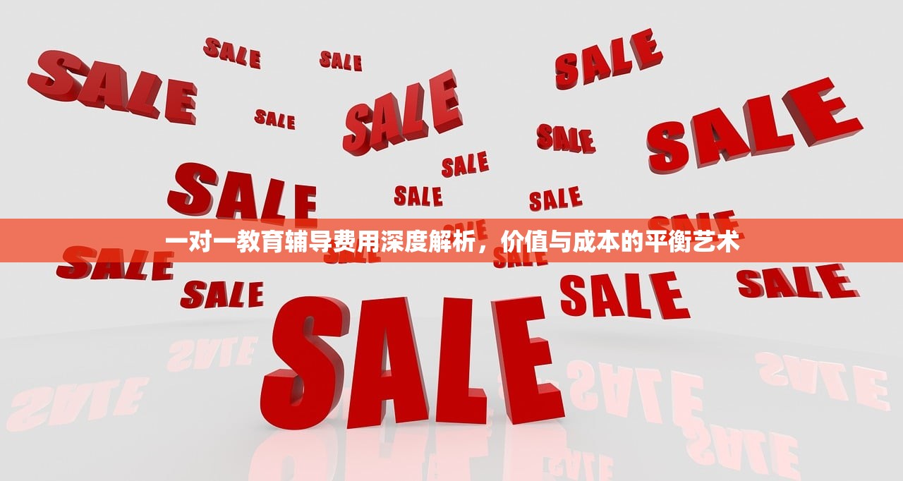 一对一教育辅导费用深度解析，价值与成本的平衡艺术