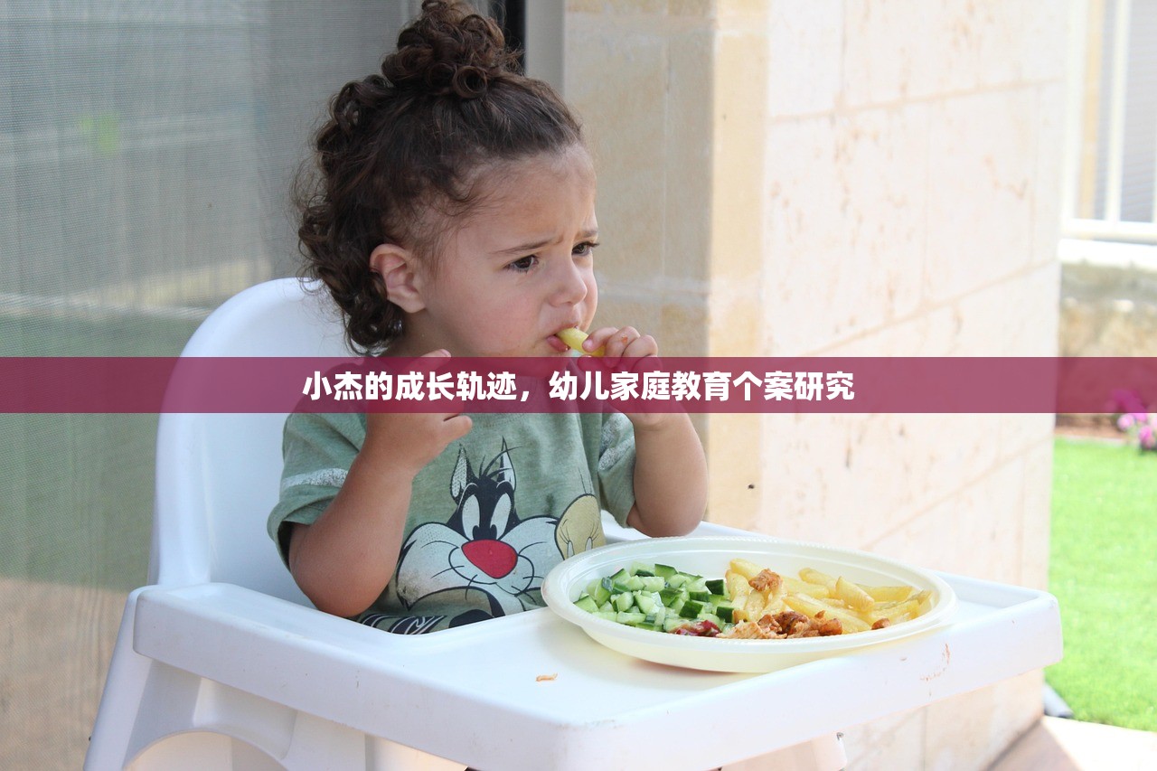 小杰的成长轨迹，幼儿家庭教育个案研究