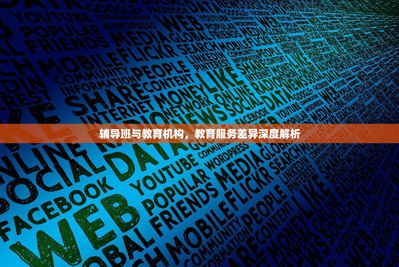 辅导班与教育机构，教育服务差异深度解析
