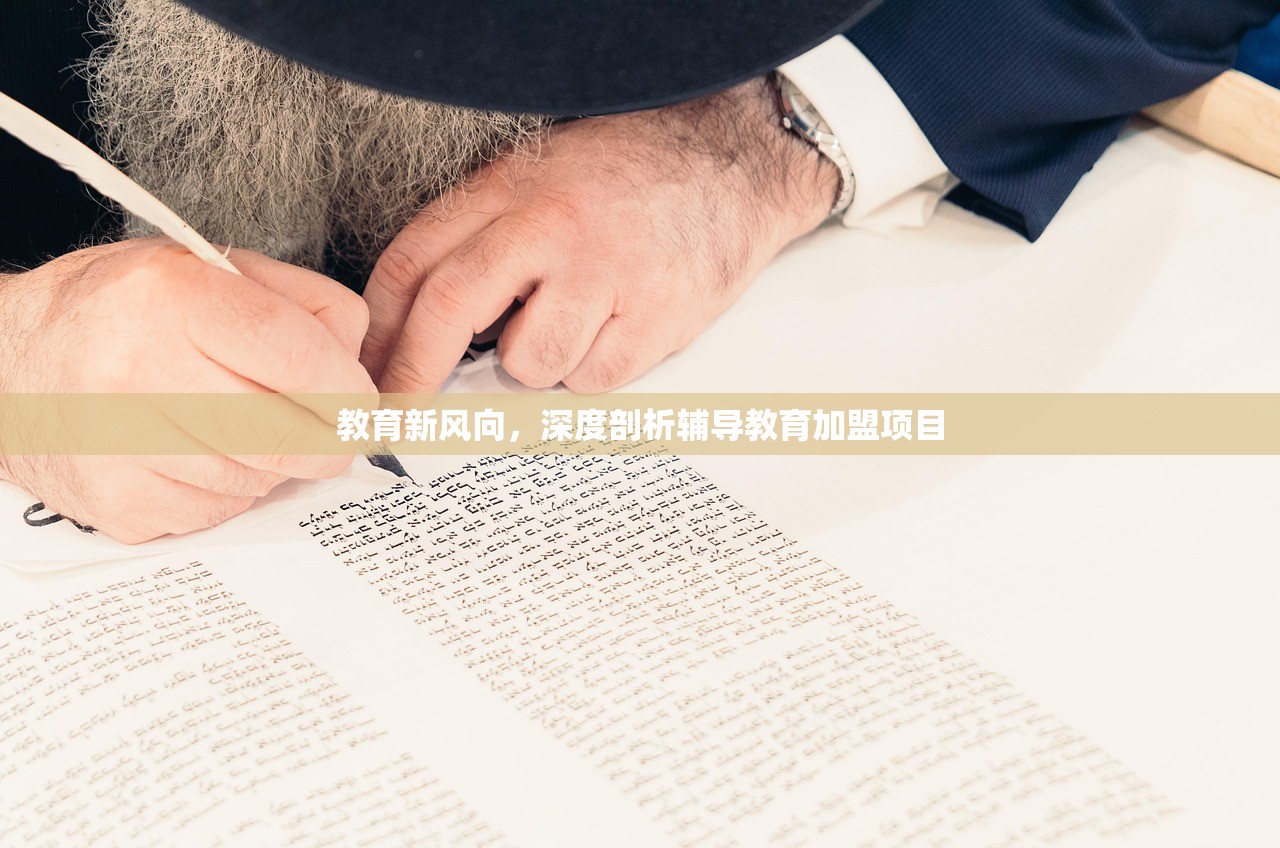 教育新风向，深度剖析辅导教育加盟项目