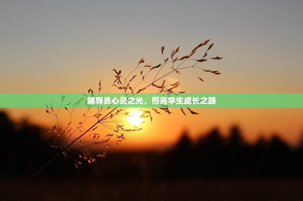 辅导员心灵之光，照亮学生成长之路
