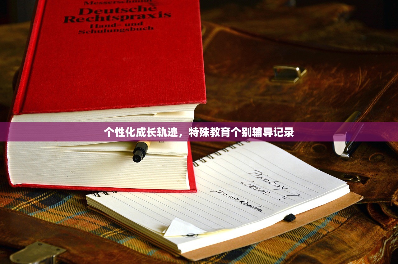 个性化成长轨迹，特殊教育个别辅导记录