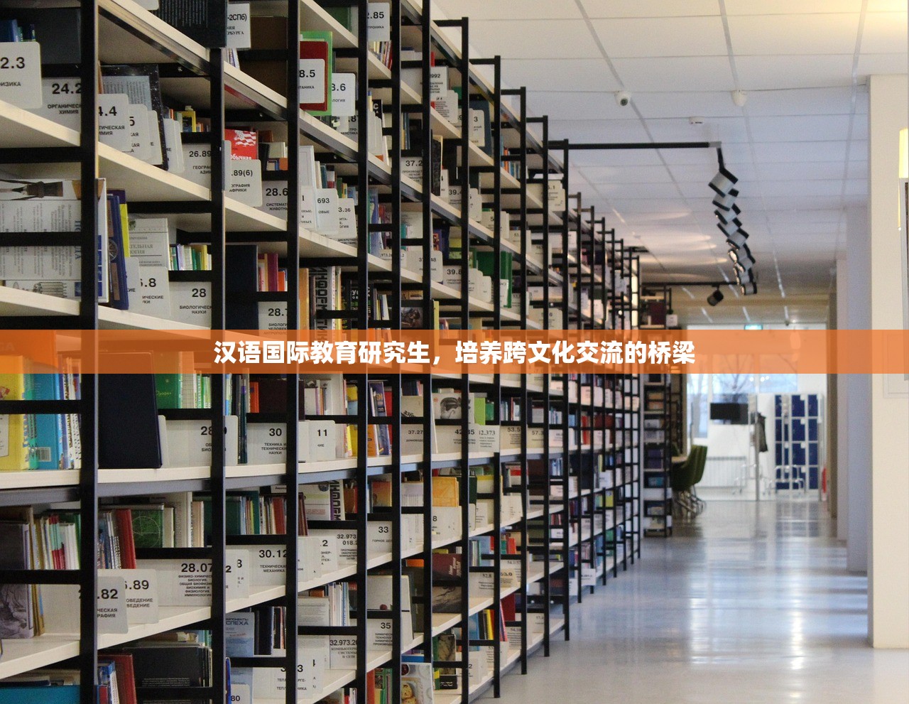 汉语国际教育研究生，培养跨文化交流的桥梁