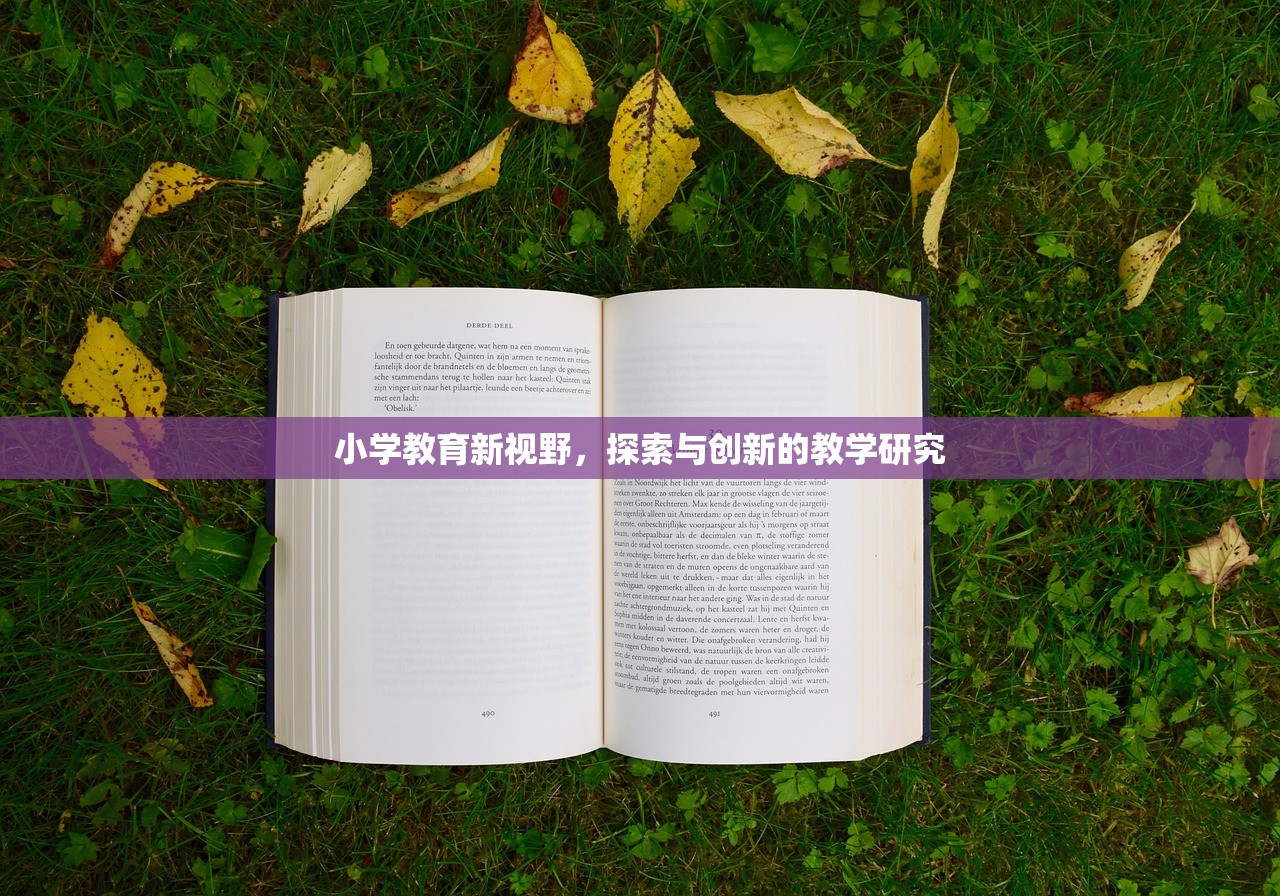 小学教育新视野，探索与创新的教学研究