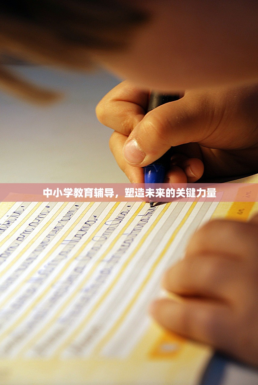 中小学教育辅导，塑造未来的关键力量