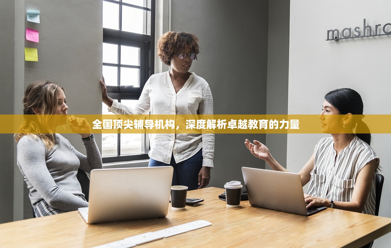 全国顶尖辅导机构，深度解析卓越教育的力量