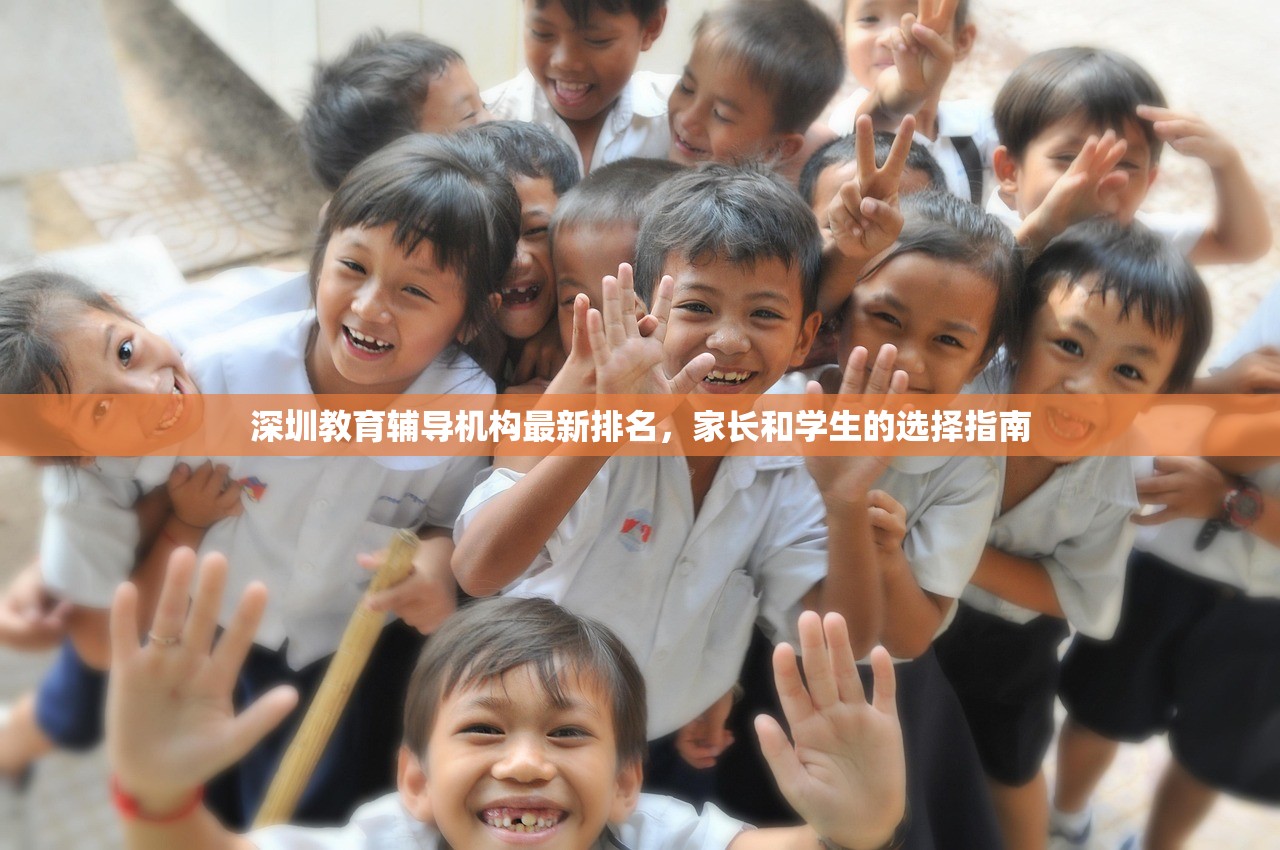 深圳教育辅导机构最新排名，家长和学生的选择指南