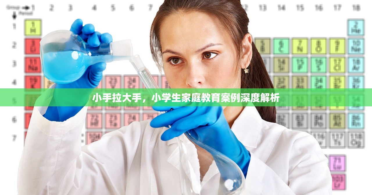 小手拉大手，小学生家庭教育案例深度解析