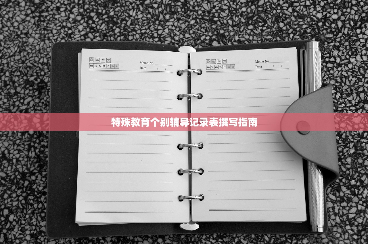 特殊教育个别辅导记录表撰写指南