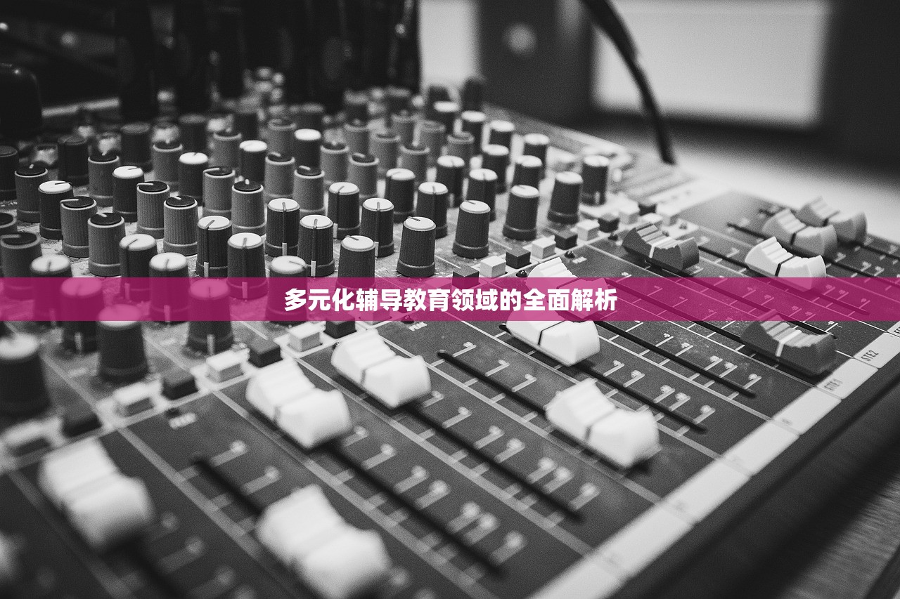 多元化辅导教育领域的全面解析