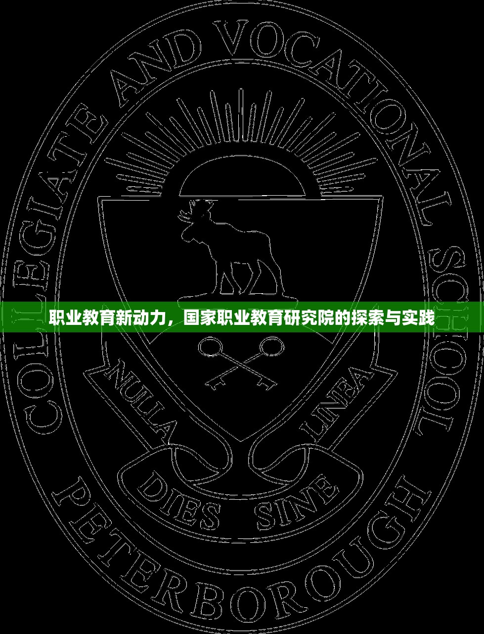 职业教育新动力，国家职业教育研究院的探索与实践