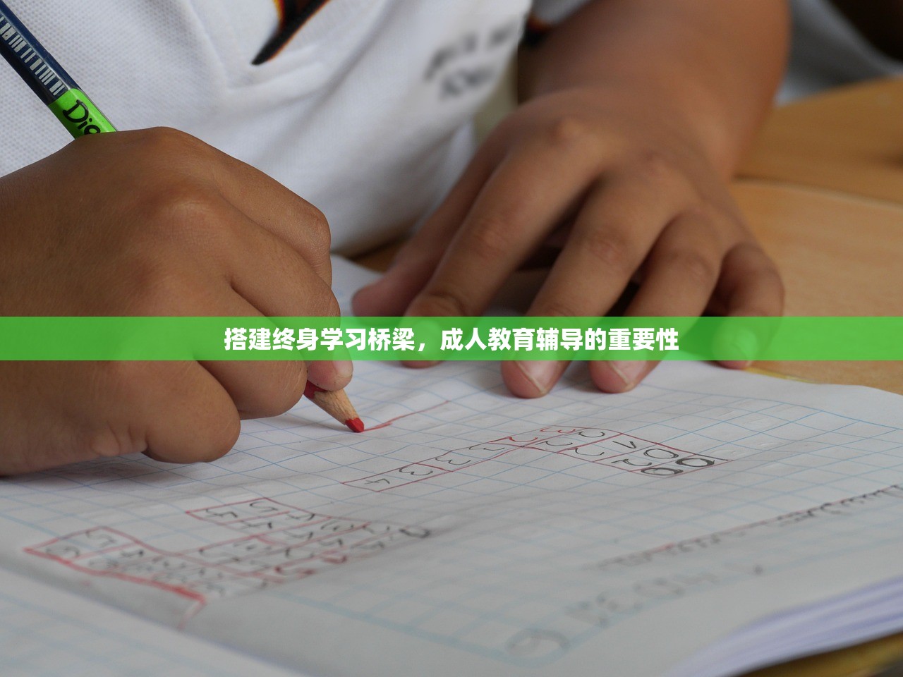搭建终身学习桥梁，成人教育辅导的重要性