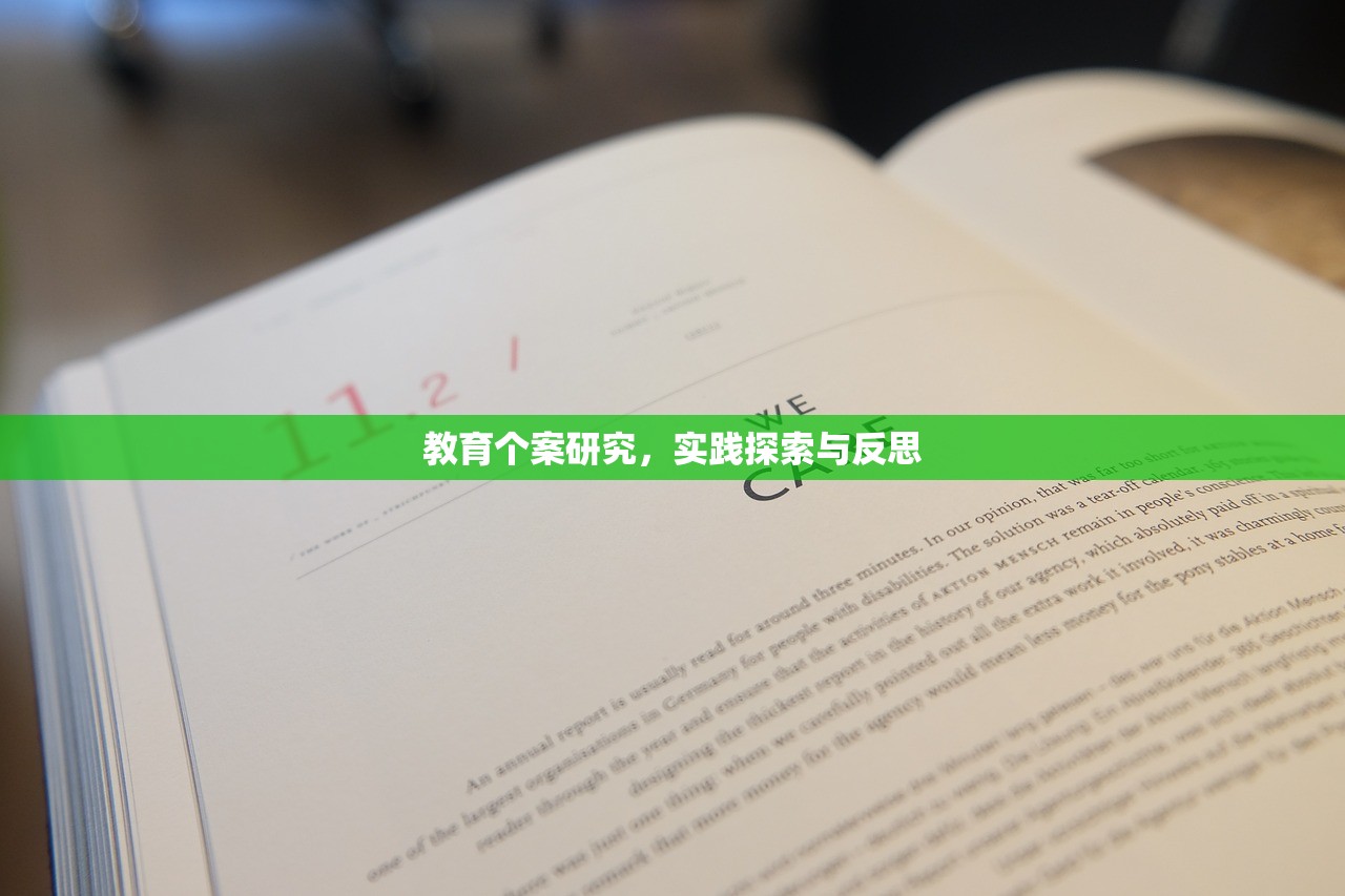 教育个案研究，实践探索与反思