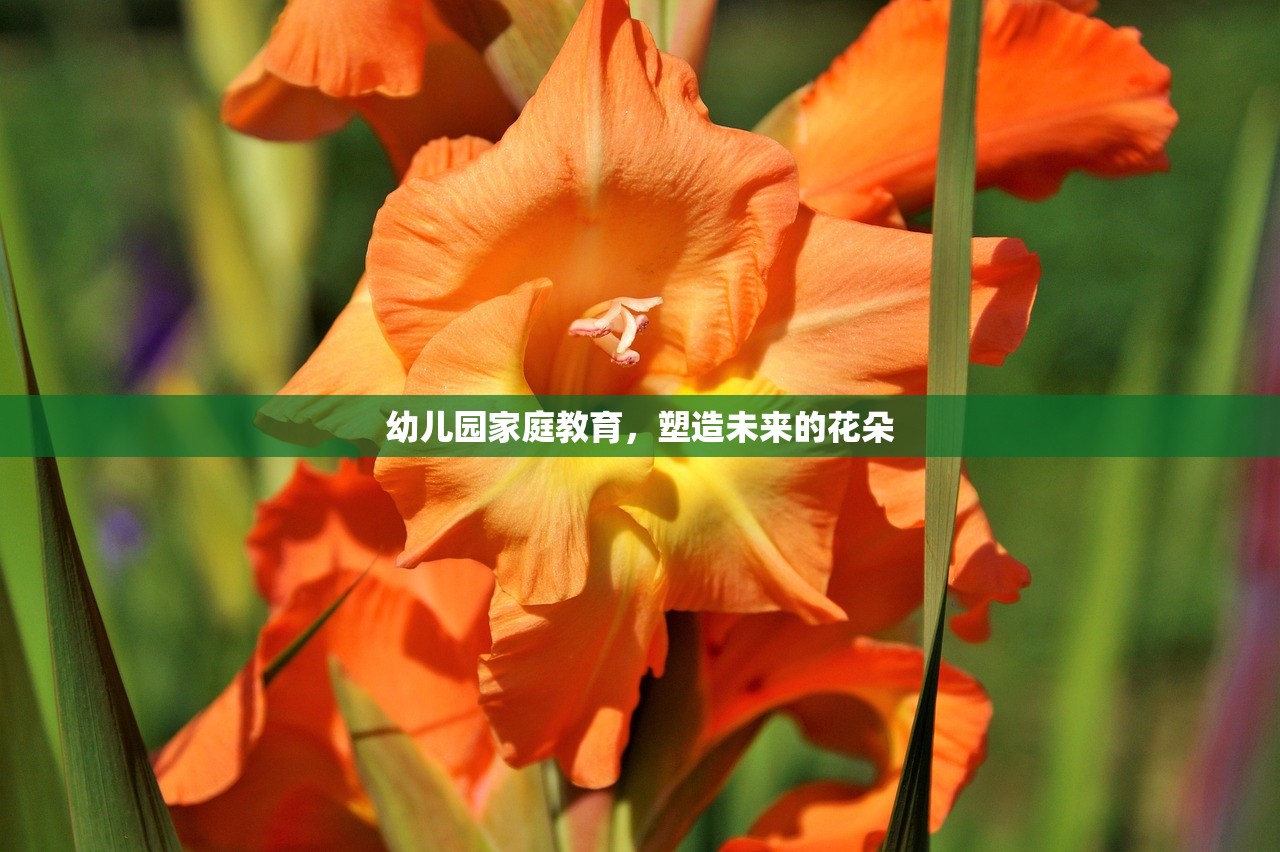 幼儿园家庭教育，塑造未来的花朵
