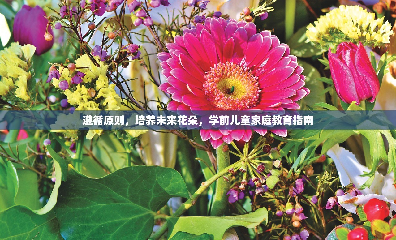 遵循原则，培养未来花朵，学前儿童家庭教育指南-第1张图片-畅过网