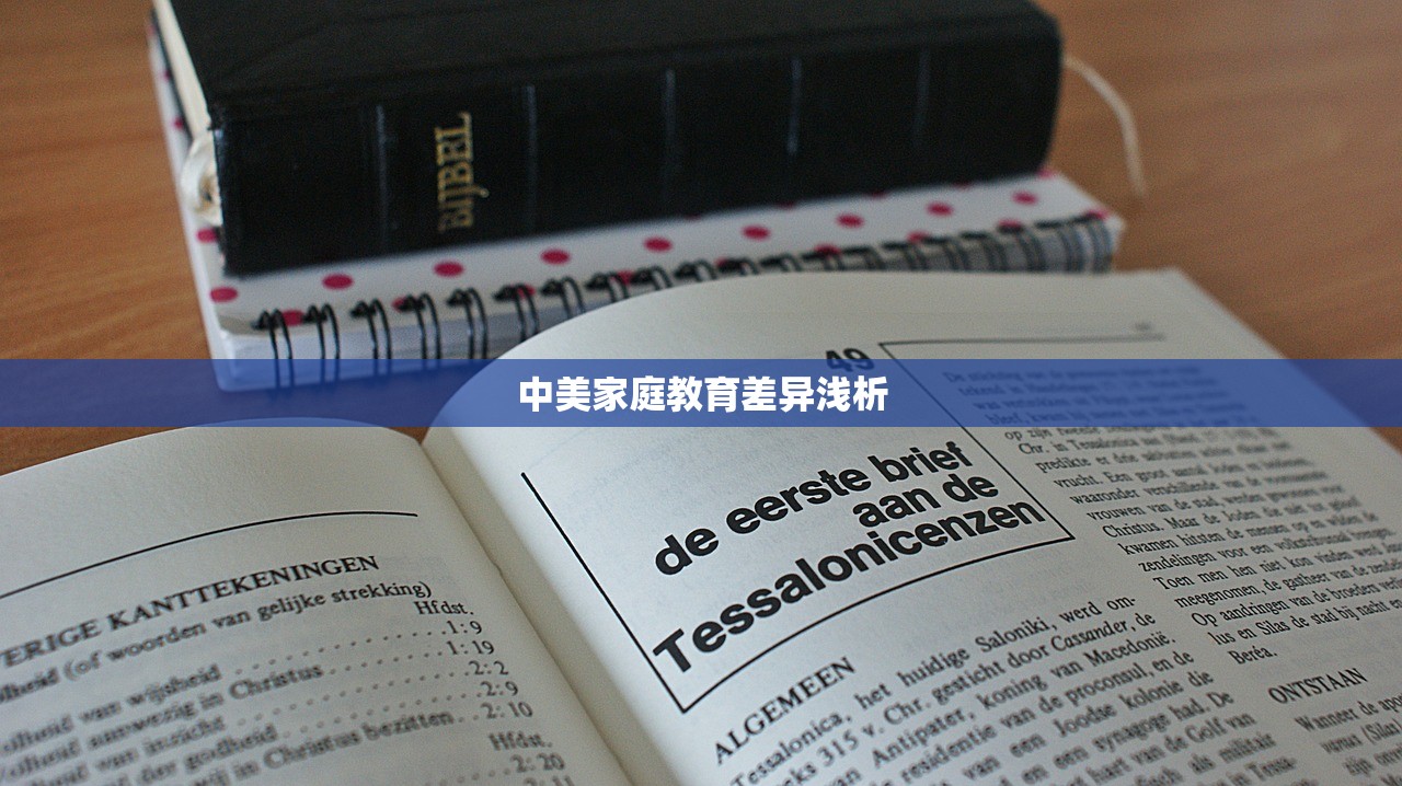 中美家庭教育差异浅析-第1张图片-畅过网