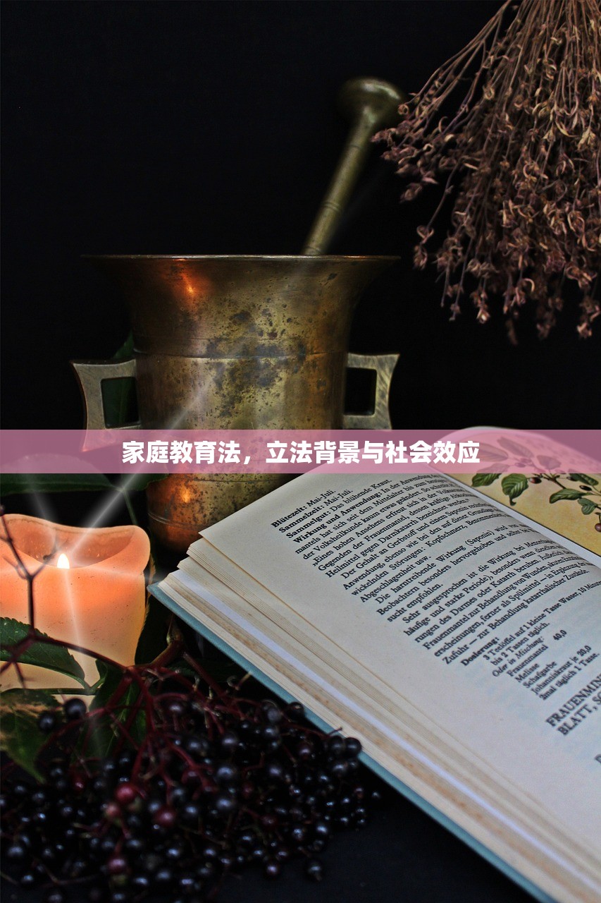 家庭教育法，立法背景与社会效应-第1张图片-畅过网